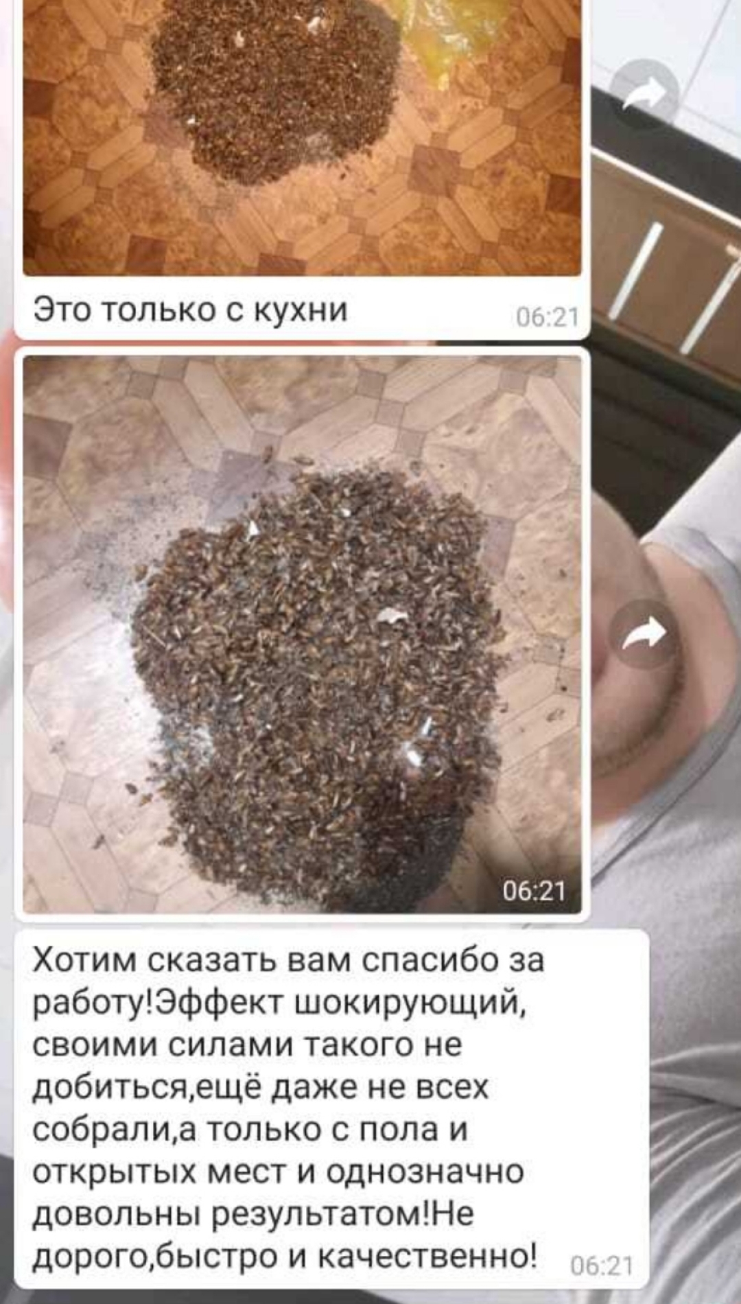 Отзыв 11