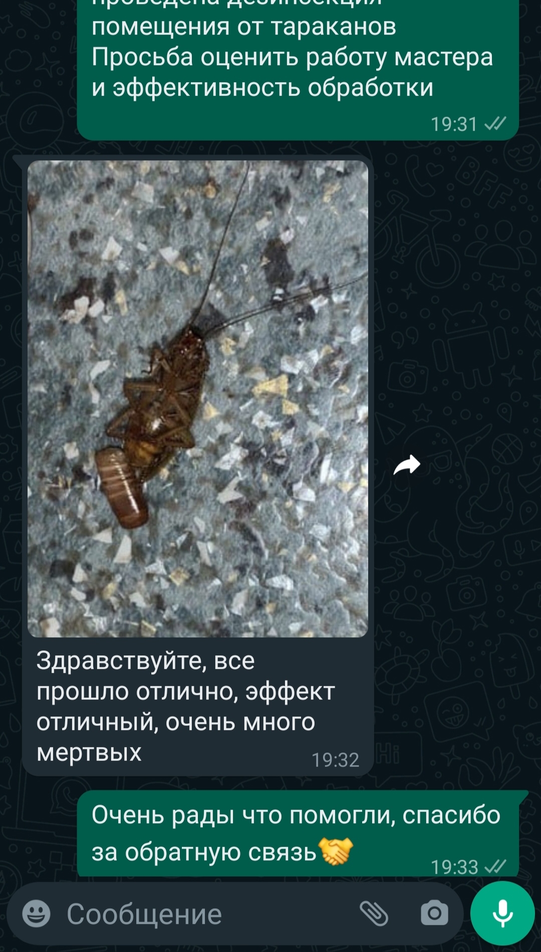 Отзыв 9